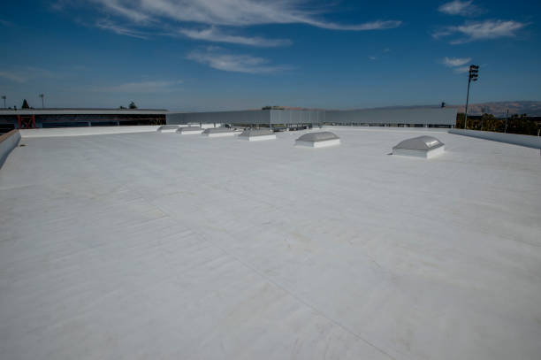 Best Roof Moss and Algae Removal  in Hallowell, ME